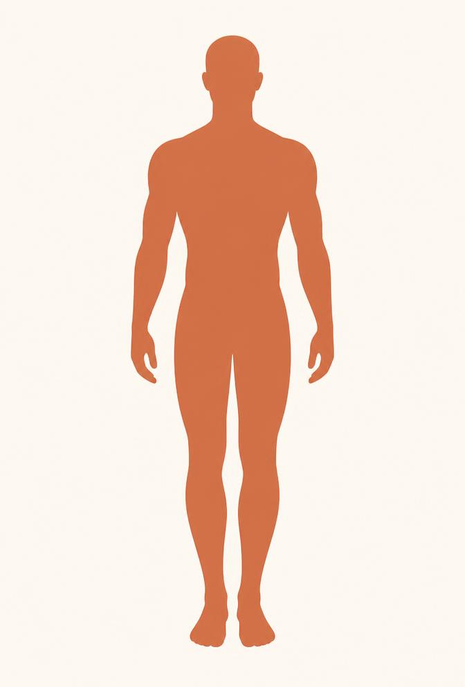 Athletic body build reference