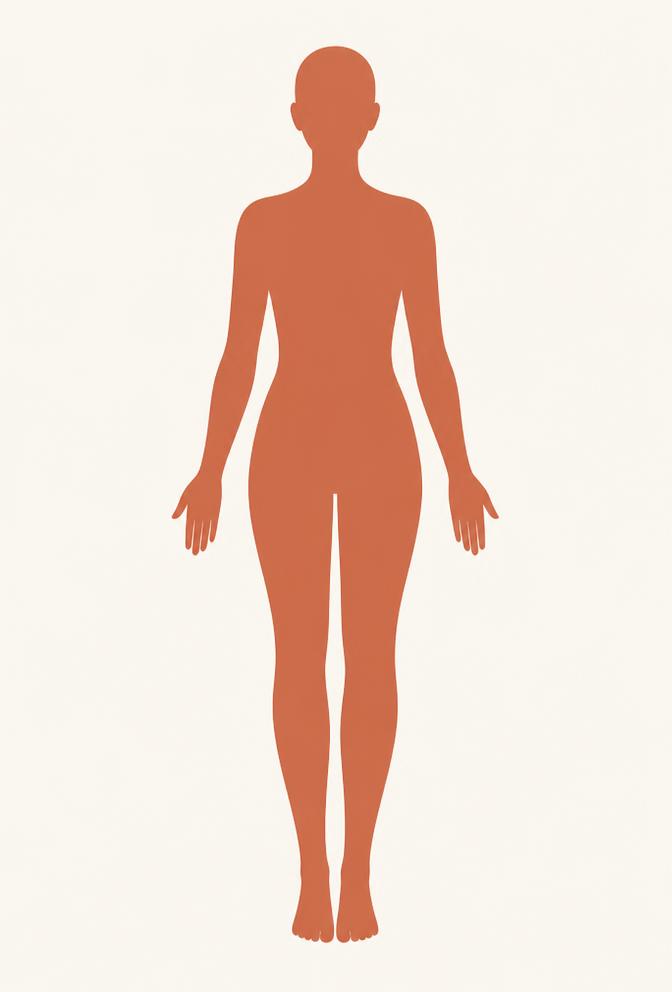 Average body build reference